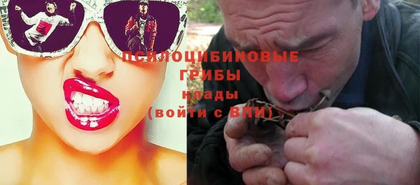 первитин Горнозаводск