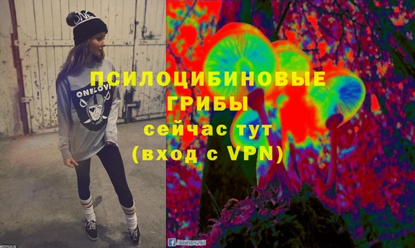 первитин Горнозаводск
