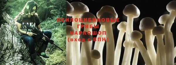 молекула духа Горно-Алтайск