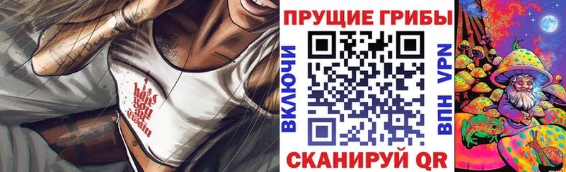 Галлюциногенные грибы GOLDEN TEACHER  Купить  Безенчук 